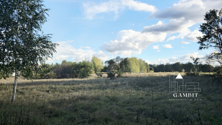 Działka Sprzedaż Krępa 4