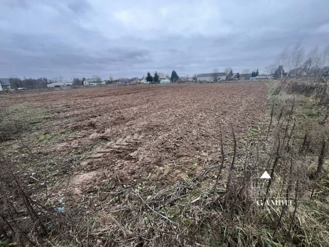 Działka Sprzedaż Łosia Wólka Kampinoska 8