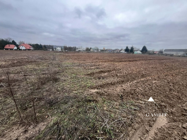 Działka Sprzedaż Łosia Wólka Kampinoska 6