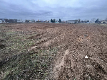Działka Sprzedaż Łosia Wólka Kampinoska