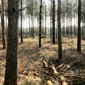 Działka Sprzedaż Cyganówka