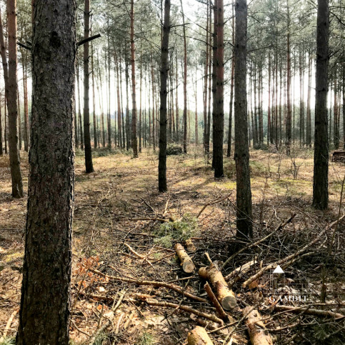 Działka Sprzedaż Cyganówka 3
