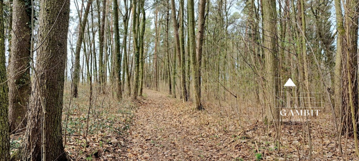 Działka Sprzedaż Półwieś 6
