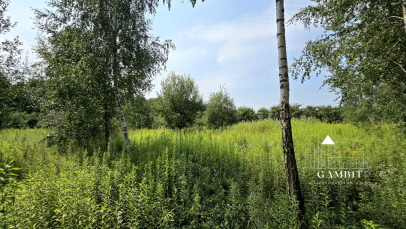 Działka Sprzedaż Barcice Drwalewskie