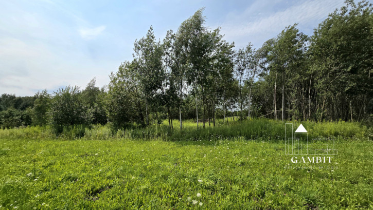 Działka Sprzedaż Barcice Drwalewskie 1