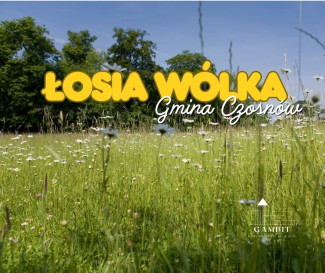 Działka Sprzedaż Łosia Wólka Kampinoska