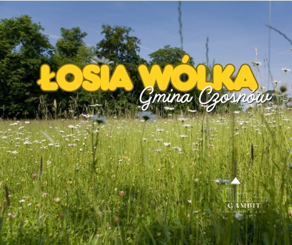 Działka Sprzedaż Łosia Wólka Kampinoska 1