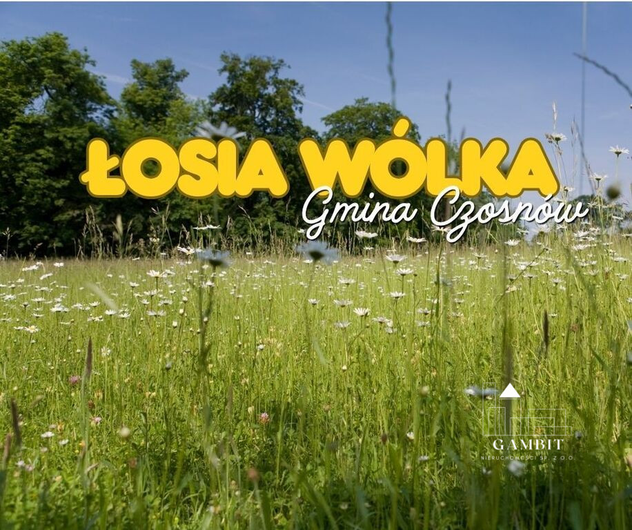 Działka Sprzedaż Łosia Wólka Kampinoska