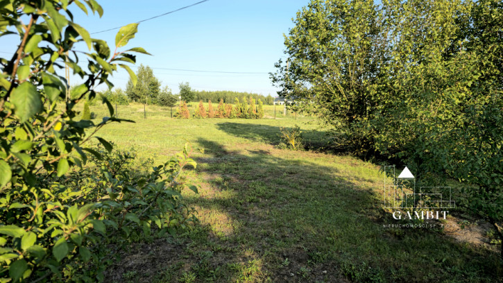 Działka Sprzedaż Krępa 6