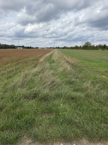 Działka Sprzedaż Dobrzyń 5