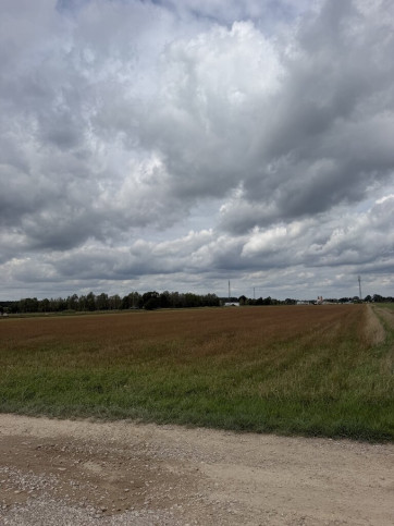 Działka Sprzedaż Dobrzyń 6