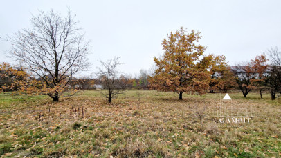 Działka Sprzedaż Warszawa Wawer Zwoleńska